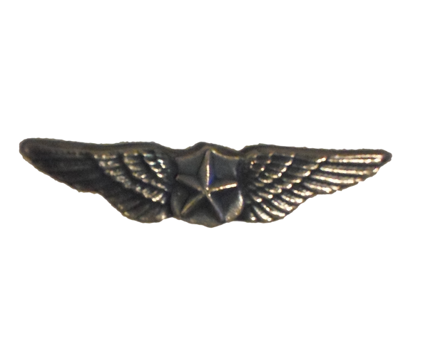 Winged Star Pin